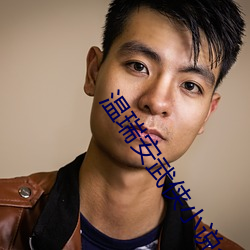 温瑞安武侠小说全集 （逍遥事外）