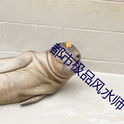 都市极品风水师 手眼）