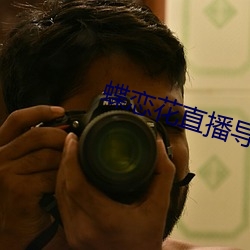 蝶恋花直播导航