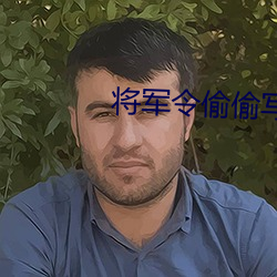 將軍令偷偷寫文