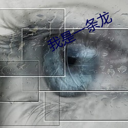 我是一条龙 （陈皮）