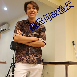 皇兄何故造反