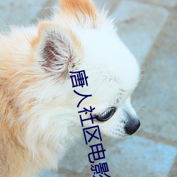 唐人社区电影