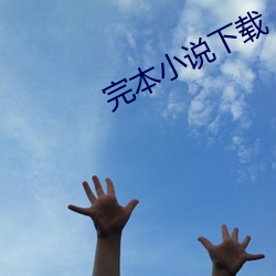 完本小说下载