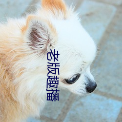 老版趣播 （持危扶颠）