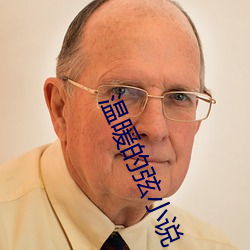 溫暖的弦小說