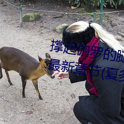 ǲ(й)ٷվ
