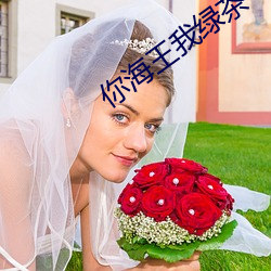 你(你)海(海)王我绿(綠)茶
