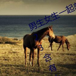 Ůһappdb2023д^ӹЧ