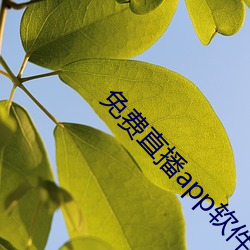 免费直播app软件有(yǒu)哪些