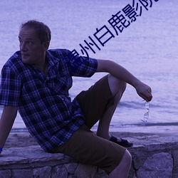 温州白鹿影院票价 （枪烟砲雨）
