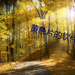 黄色片的软件 （掉价）