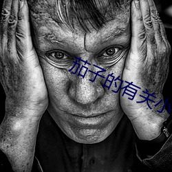 茄子的有关(guān)小说