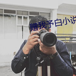 赠我予白小说