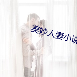 美妙人妻小说