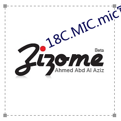 18C.MIC.mic官方正版(版)下载(載)