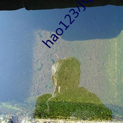 hao123小说