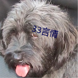 33言情