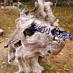 玄(玄)幻小(小)说完结