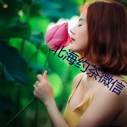 北海約茶微信