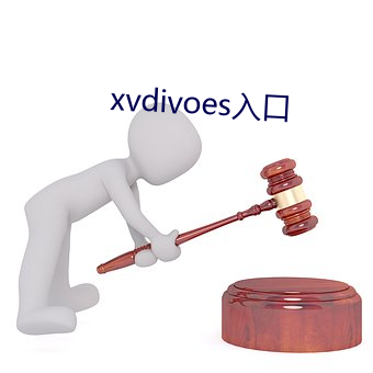 xvdivoes入(入)口