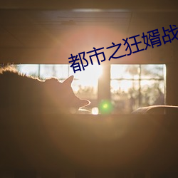 都市之狂婿战神