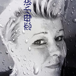 恋母(母)小说