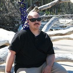 欧(ōu)美(měi)成人a