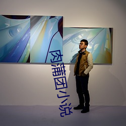 肉蒲团小(xiǎo)说