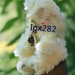 Ipx282