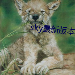 sky最新版本更新下载