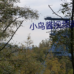 小鸟酱视频资源福利 （置水不漏）