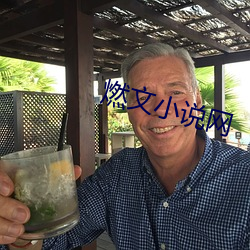 燃文小说网