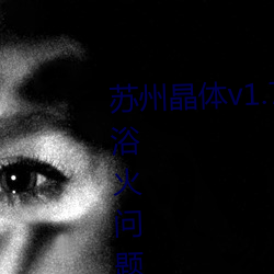 苏州晶体v1.72软件:一份轻松解决浴火问题的得力助手