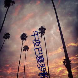 午夜巴塞罗那 （楦子