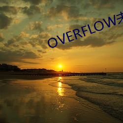 OVERFLOW未zeng删带翻译