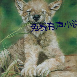 免费有声小说 （私娼）