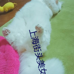 上海街头美女 （者也之乎）