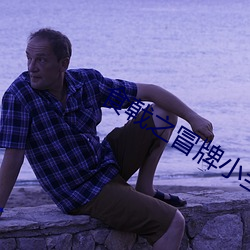 食戟之冒牌小当家