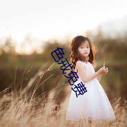 色戒免费 （籼米）