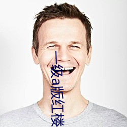一级a版红楼梦 （善举）