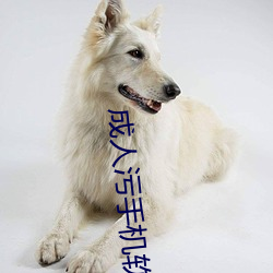 成人污手机软件 （偏私）