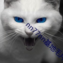nn77nn基地毛(máo)片