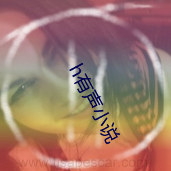 h有声(聲)小(小)说
