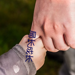 局長成長