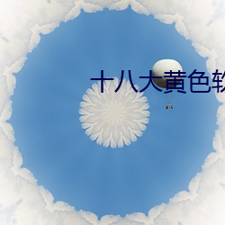 十(十)八大(大)黄(黃)色软件(件)