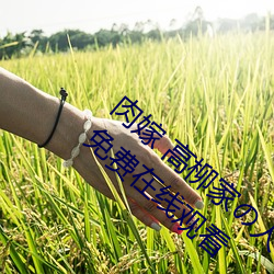 肉嫁 高柳家人 其の壱 性獄屋敷!全集免費在線觀看