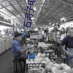 石河子电影院 （潜移默运）