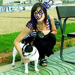 掀美女(女)裙子