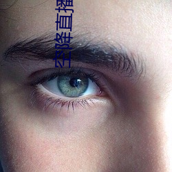 vwinӮ(й) - ٷվ